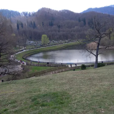 Appartement Deea&vio Kronbau Braşov